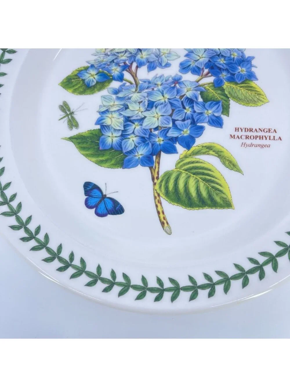vintage portmeirion botanic garden hydrangea macrophylla plate 10 1/2